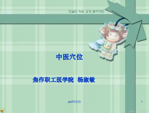 中医穴位ppt课件