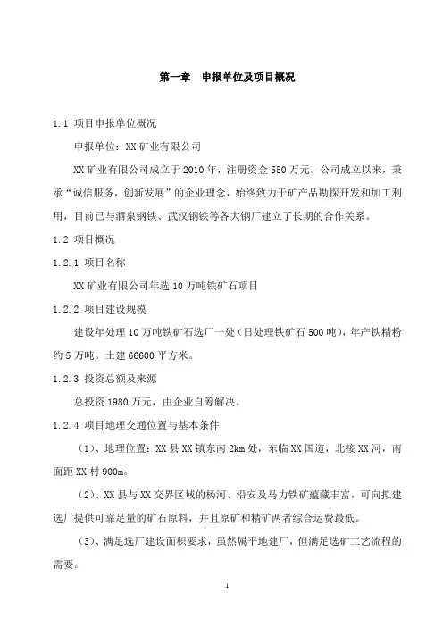 XX矿业有限公司年选10万吨铁矿石选矿厂项目申请报告书
