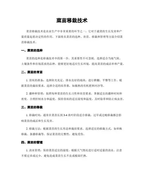 菜苗移栽技术