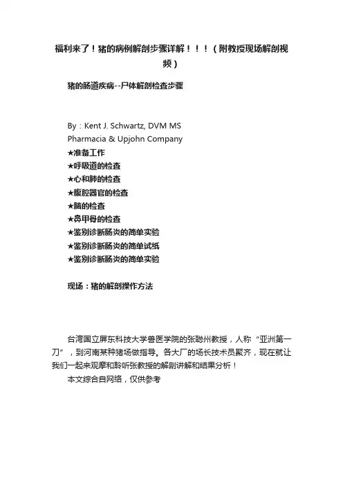 福利来了！猪的病例解剖步骤详解！！！（附教授现场解剖视频）
