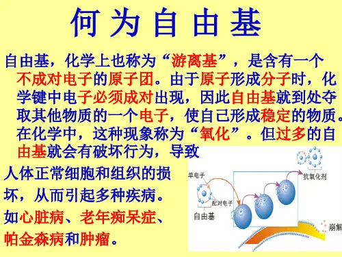 自由基是怎么产生的