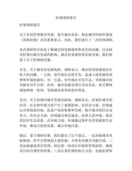 控规调研报告