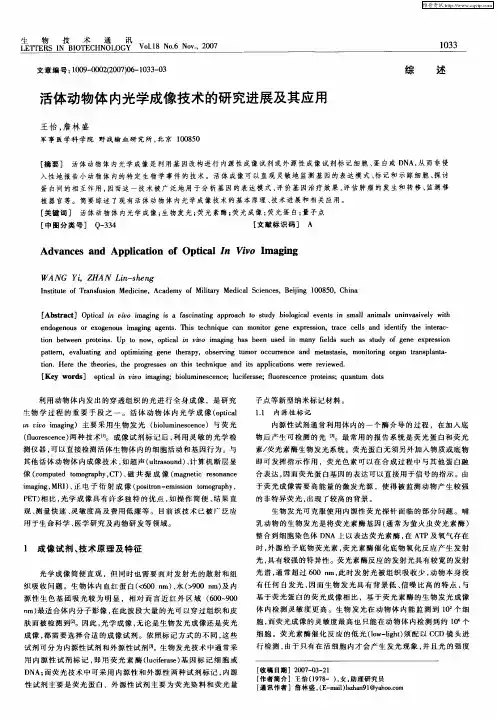 活体动物体内光学成像技术的研究进展及其应用