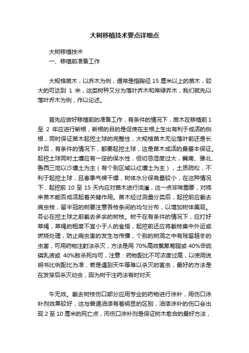 大树移植技术要点详细点