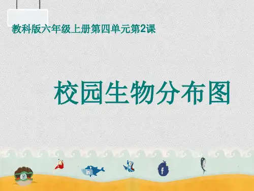 教科科学六上《4.2.校园生物分布图》 (共17张PPT)