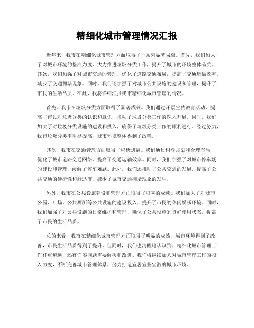 精细化城市管理情况汇报
