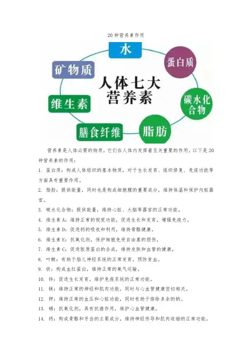 20种营养素作用