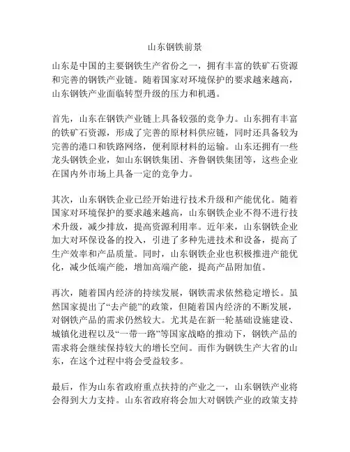 山东钢铁前景