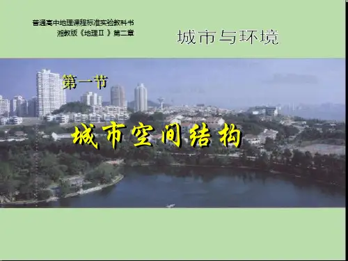 城市空间结构分类和功能分区