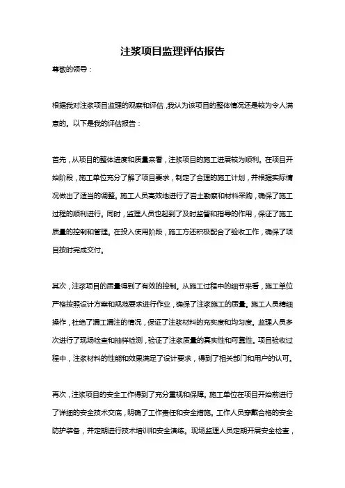 注浆项目监理评估报告