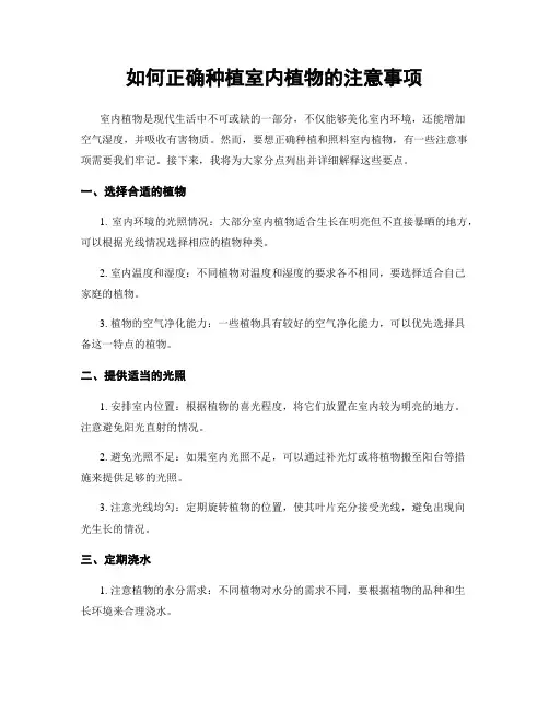 如何正确种植室内植物的注意事项