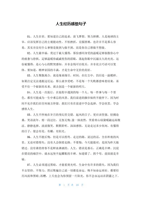 人生经历感悟句子