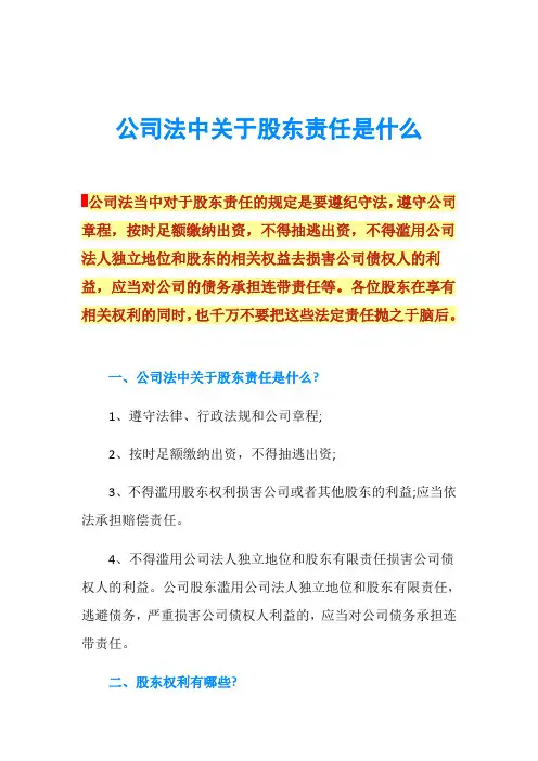 公司法中关于股东责任是什么