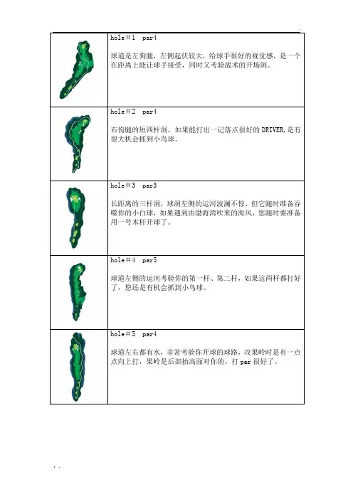 高尔夫球场球洞平面图