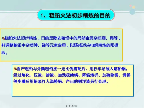 有色冶金技术专业《火法初步精炼工艺控制》