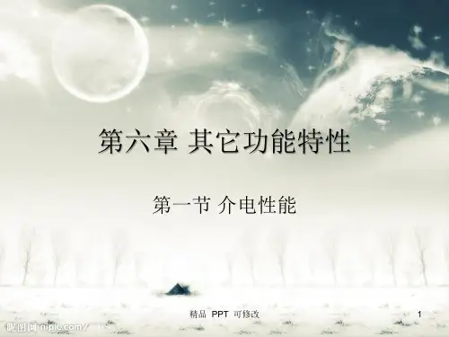 材料的介电性能(精品课件)