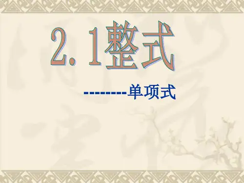 2.1.1 单项式 课件2--
