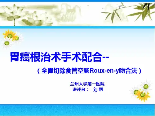 胃癌根治术手术配合ppt演示课件