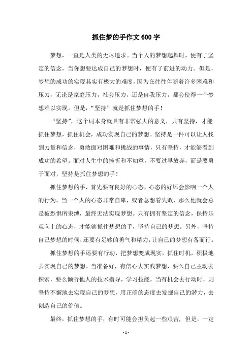 抓住梦的手作文600字