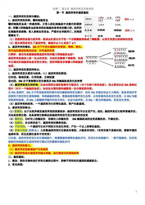 第五章基因突变及其他变异讲义超详细笔记(彩色)