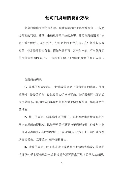 葡萄白腐病的防治方法