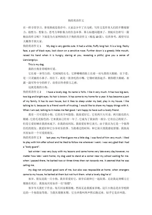狗的英语作文