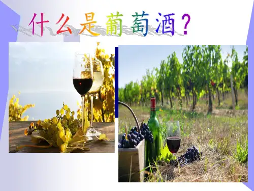 葡萄酒定义及分类
