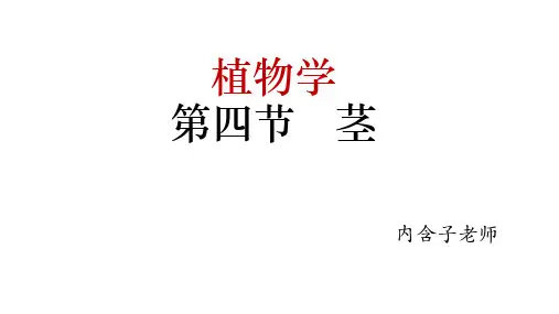 高中生物竞赛课件：植物形态解剖学4