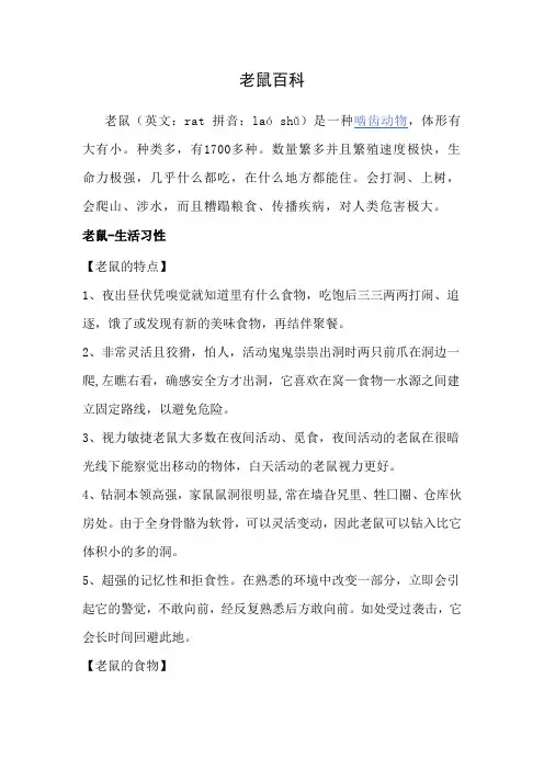 老鼠百科