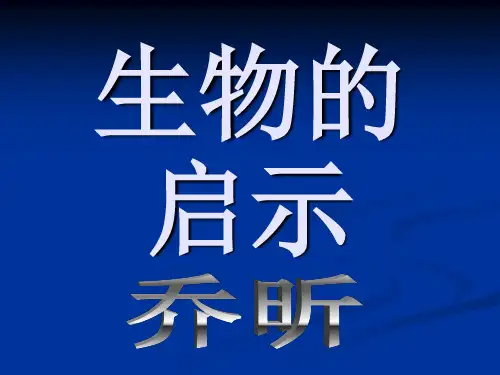 生物的启示ppt