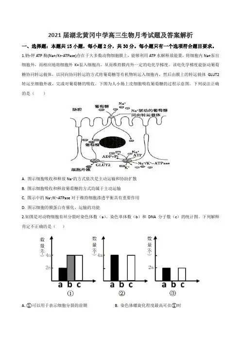 2021届湖北黄冈中学高三生物月考试题及答案解析