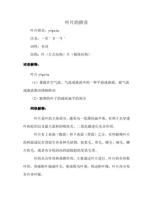 叶片的拼音