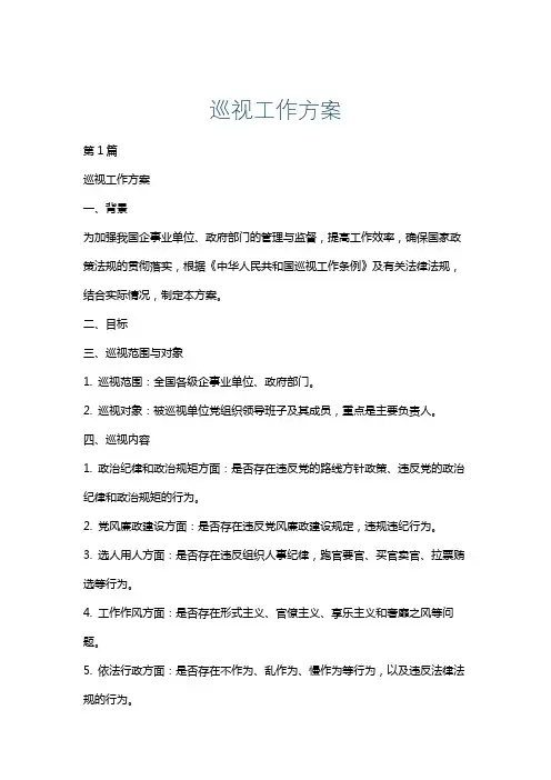 巡视工作方案
