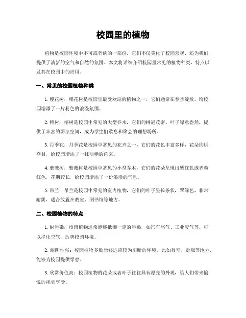 校园里的植物