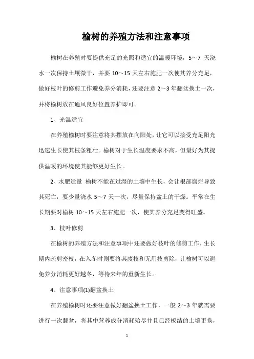榆树的养殖方法和注意事项