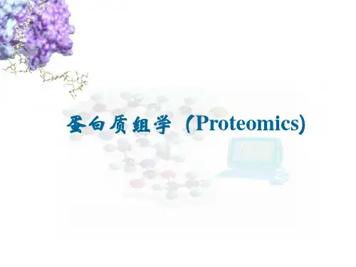 蛋白质结构分级和获取