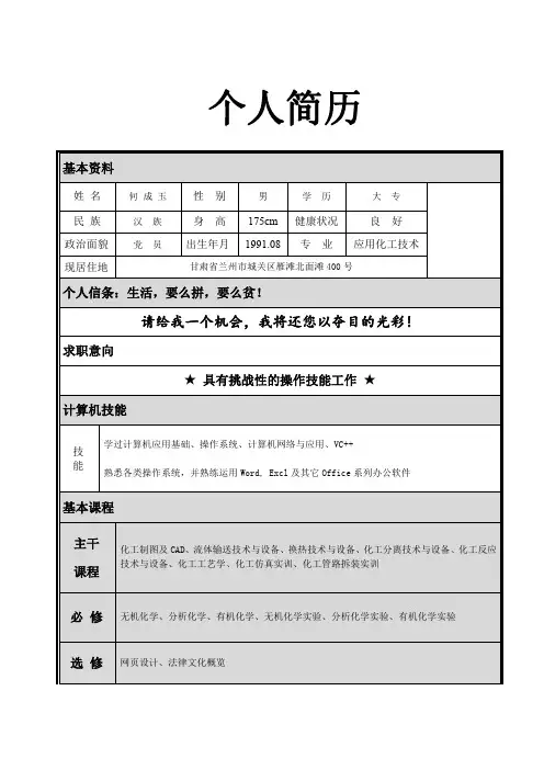 个人简历20
