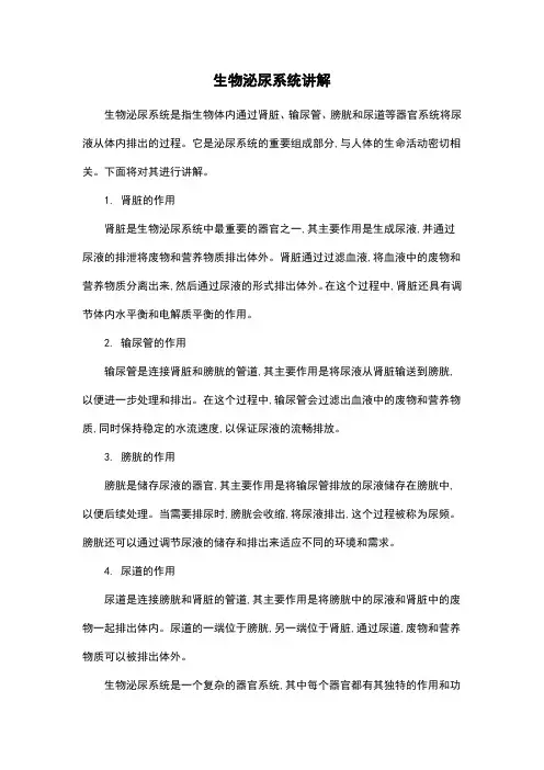 生物泌尿系统讲解