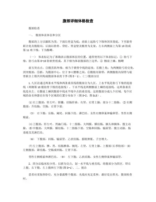 腹部详细体格检查