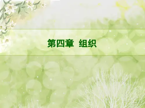 护理管理学 组织职能