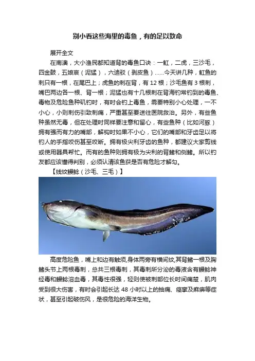 别小看这些海里的毒鱼，有的足以致命