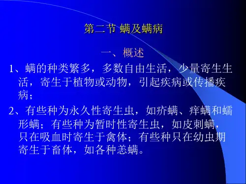 螨及螨病
