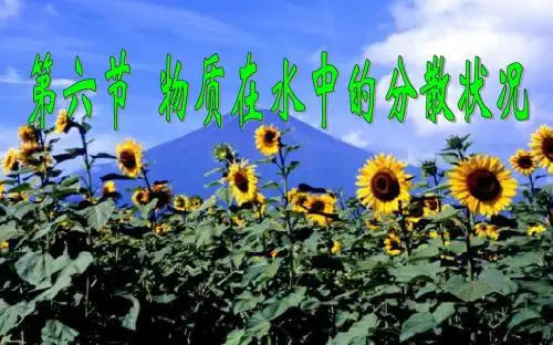 物质在水中的分散状况