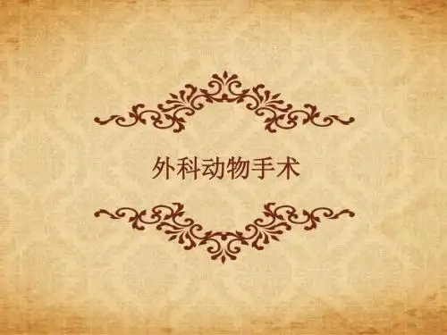 动物手术  ppt课件