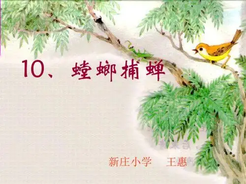 《螳螂捕蝉》PPT课件