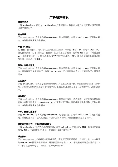 产科超声模板