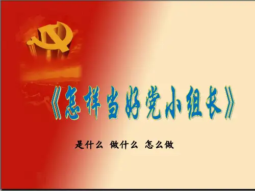 党小组长培训.