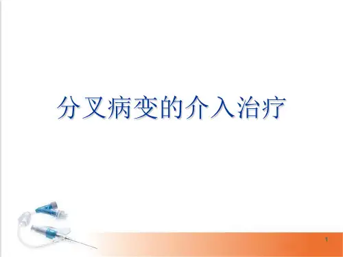 分叉病变的介入治疗(3)精品PPT课件