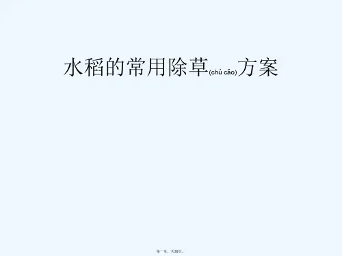 《水稻常用除草方案》PPT课件
