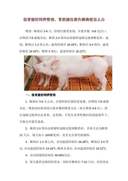 保育猪的饲养管理,育肥猪拉黑色稀粪便怎么办